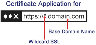 Wildcard SSL Certificates